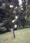 ivano-gonzo_2004_albero-geneticamente-modificato